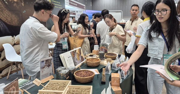 Giá cà phê hôm nay 17- 4: Quay đầu giảm, dân trong nghề thích ứng xu thế cà phê mới