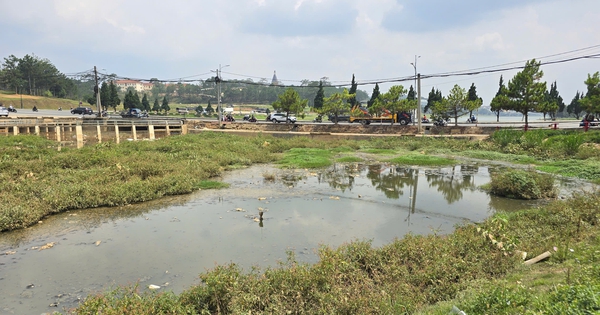 CLIP: Hồ lắng ô nhiễm nặng cạnh hồ Xuân Hương, Lâm Đồng chi 48 tỉ đồng để “giải cứu”