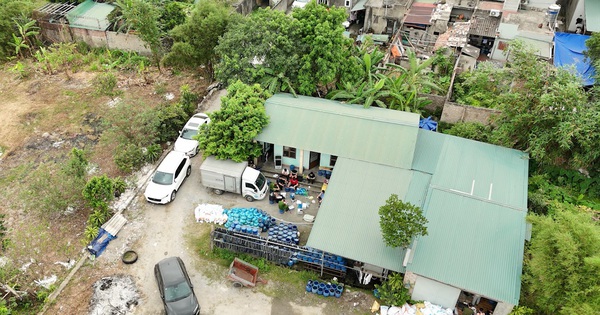 Đột kích hàng loạt xưởng sản xuất giá đỗ sử dụng chất cấm