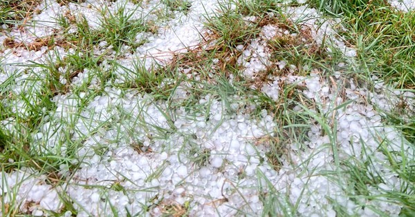 Mưa đá liên tục 4 ngày ở phía Tây Quảng Ngãi