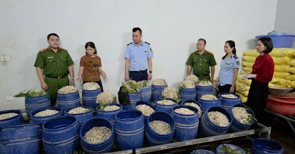 Bắt 2 chủ cơ sở sản xuất giá đỗ bằng chất cấm nguy cơ gây ung thư