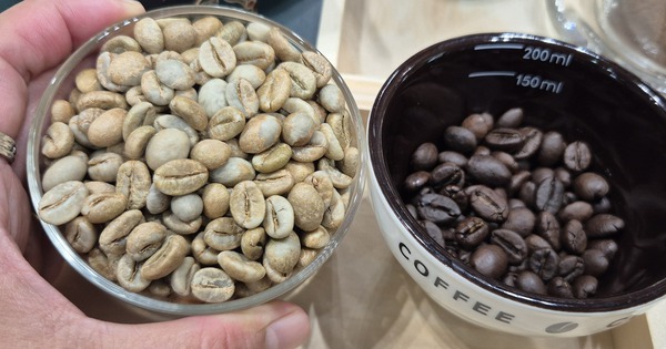 Giá cà phê hôm nay 18-4: Giảm tiếp, bất chấp Brazil xuất khẩu thấp nhất 8 năm qua