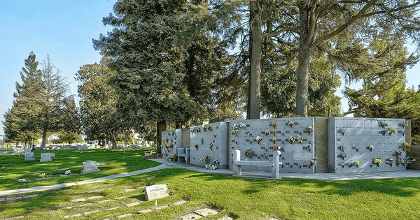 “Thế giới sự sống” gây sốc bên dưới nghĩa trang New York