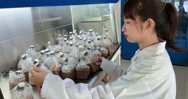 Lan tỏa tinh thần khởi nghiệp