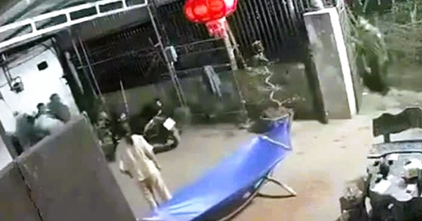 Một trưởng thôn bị đâm tử vong