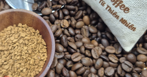 Giá cà phê hôm nay 19-4: Arabica đối mặt áp lực lớn