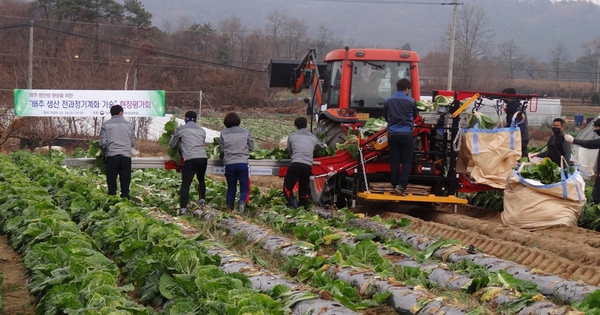 Lao động đi làm việc thời vụ tại Hàn Quốc phải tham gia bảo hiểm tai nạn