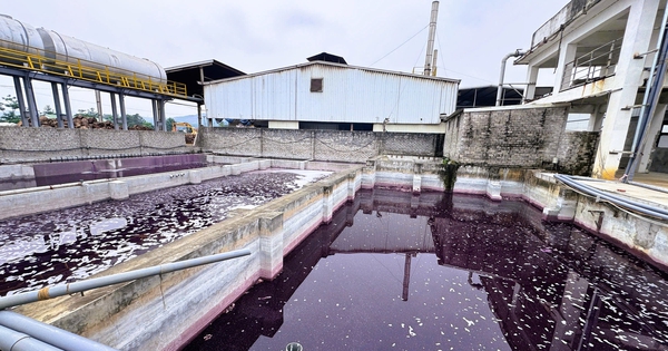 Nhà máy xả thải khiến nước giếng khoan đổi màu tím bất thường bị tạm dừng hoạt động