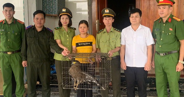 Hà Tĩnh: Người dân giao nộp hai cá thể động vật nguy cấp, quý hiếm