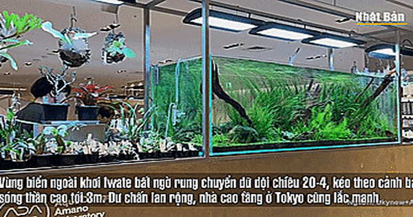 VIDEO: Nhật Bản hứng động đất mạnh, sóng thần đe dọa 3 tỉnh