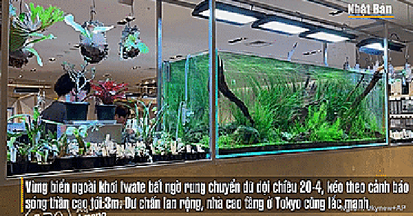 VIDEO: Nhật Bản hứng động đất mạnh, sóng thần đe dọa 3 tỉnh