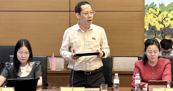 Luật sư công hưởng chế độ, chính sách như thế nào?