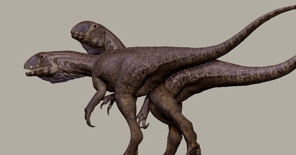 Quái vật 201 triệu tuổi "trỗi dậy" từ mỏ đá ở Mỹ