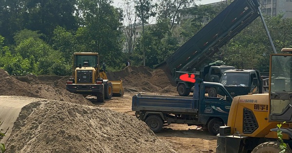 Hàng loạt bãi cát 