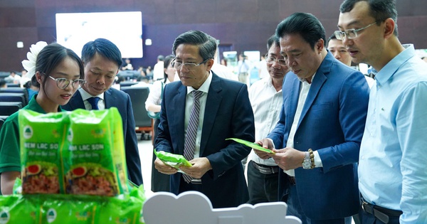 Đà Nẵng thúc đẩy chuyển đổi xanh, hướng tới đô thị sinh thái, thông minh