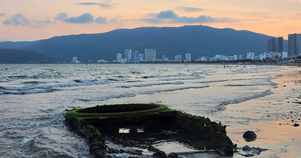 Cận cảnh "vật lạ" trồi lên trên bờ biển Quy Nhơn