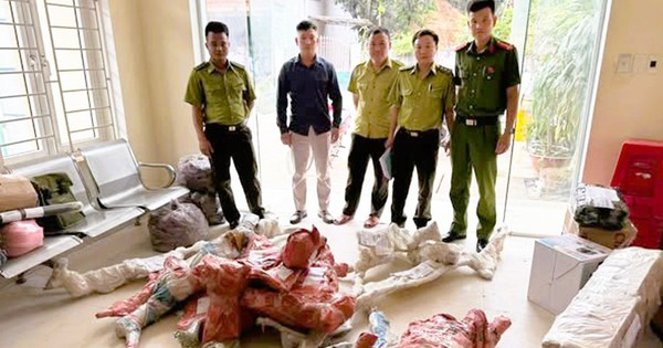 Công an thu giữ 15 phôi cây muội hồng ở bưu điện