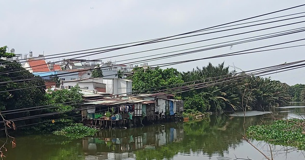 Phản hồi: Gỡ nhánh cây vướng vào dây điện