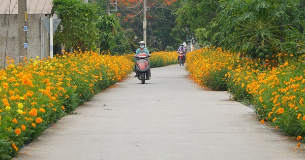 TPHCM: xã đủ điều kiện khẩn khương hoàn thiện thủ tục lên phường
