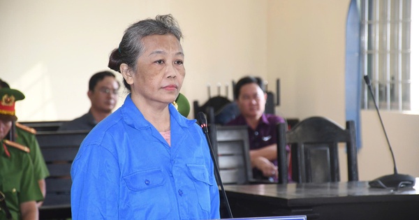 Tuyên án người phụ nữ vu cáo chính quyền, xúc phạm lãnh đạo Đảng và nhà nước