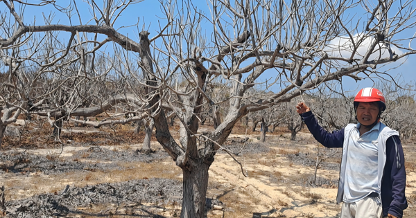 Chuyện khó hiểu ở khu phố Suối Nước