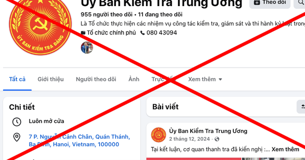 Mạo danh cơ quan nhà nước trên không gian mạng có thể bị xem xét xử lý hình sự