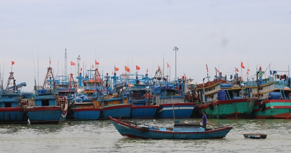 Gia Lai thuê giám sát hành trình để kiểm soát 186 tàu cá rủi ro cao