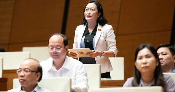 ĐB Trần Thị Hoa Ry: Phân cấp cho cấp dưới nhưng cấp trên vẫn quyết định; việc quá tải ở cấp cơ sở