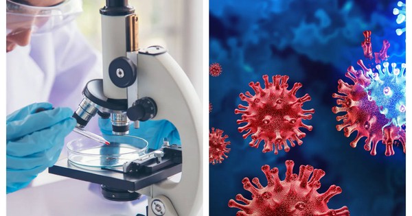 Tổ chức Y tế Thế giới công bố tin vui đến Bệnh viện Bệnh Nhiệt đới TPHCM