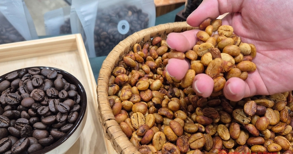 Giá cà phê hôm nay 23-4: Dậy sóng, Nhật Bản thử trồng cà phê trong nhà kính