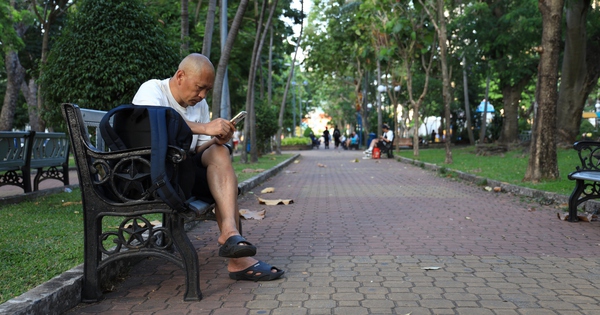 Xanh đô thị, mát tinh thần (*): Sớm phủ xanh thành phố