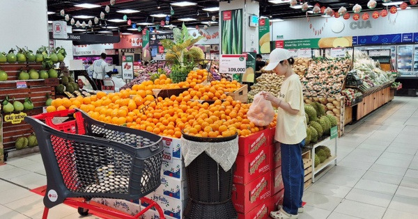 LOTTE MART khuyến mại lớn cùng nhiều giải pháp tiệc tại gia tiện lợi