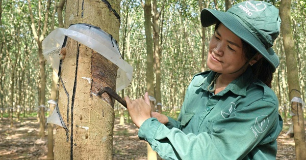 Tích cực chăm lo, xây dựng văn hóa an toàn lao động