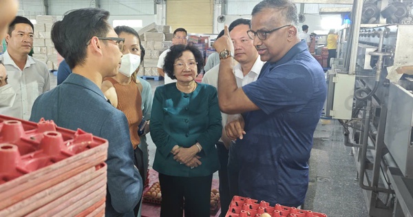 Ba Huân nợ bảo hiểm xã hội kéo dài, rớt khỏi kệ nhiều siêu thị: Tiếc nhưng phải học!