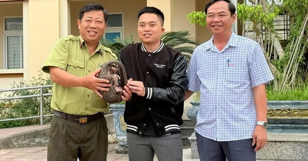 Phát hiện con vật quý hiếm cuộn mình bên vệ đường lúc sáng sớm