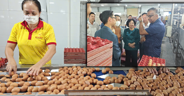 Tiếc cho thương hiệu trứng sạch Ba Huân