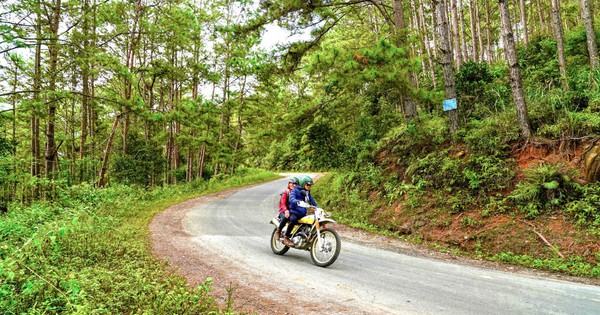 Gần 83 ha đất rừng được chuyển đổi để làm khu đô thị ở Măng Đen