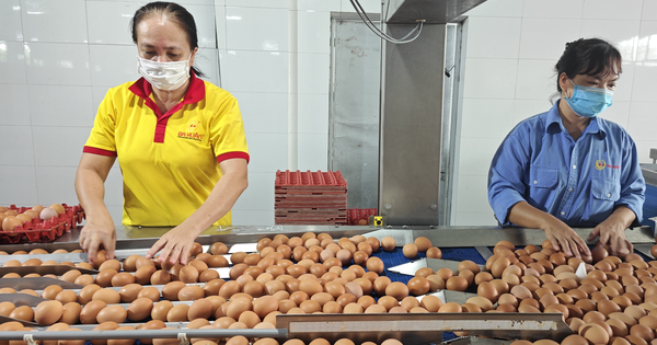 Từ vụ trứng Ba Huân nợ bảo hiểm xã hội kéo dài: Thấy gì từ những "thương hiệu quốc dân"?