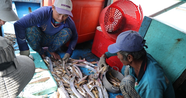 Vì sao nhiều người dân ở "xã An toàn khu" TPHCM chưa nhận được thẻ BHYT miễn phí?