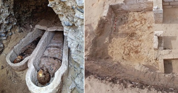 Phát hiện gây sốc trong bụng một xác ướp Ai Cập