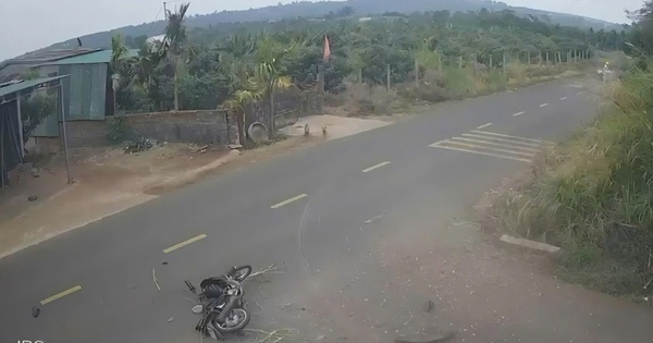 Toàn cảnh các vụ án đáng chú ý trong tuần