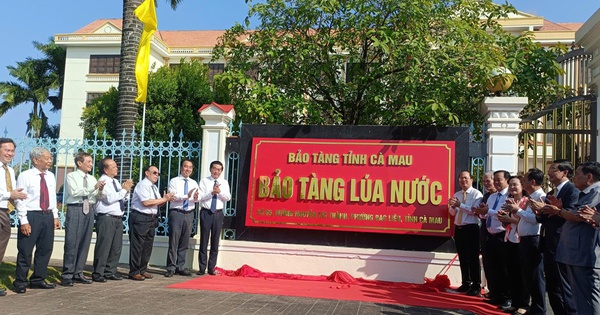Thành lập Bảo tàng lúa nước ở Cà Mau