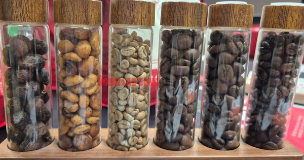 Giá cà phê hôm nay 26-4: Khó chốt thời điểm mua bán