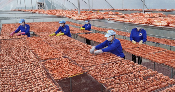 Nâng cao chuỗi giá trị sản phẩm OCOP