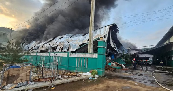 Cháy lớn tại một doanh nghiệp ở Gia Lai, thiệt hại ước tính nhiều tỉ đồng