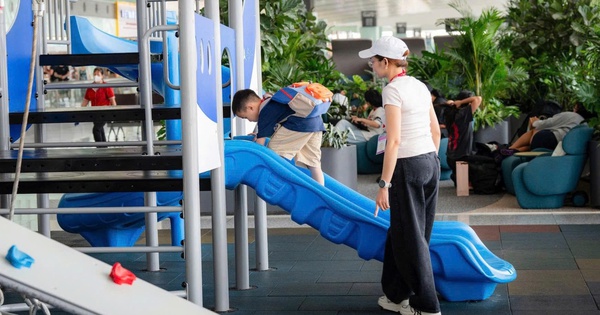 Quyết định cân não của lao động trẻ