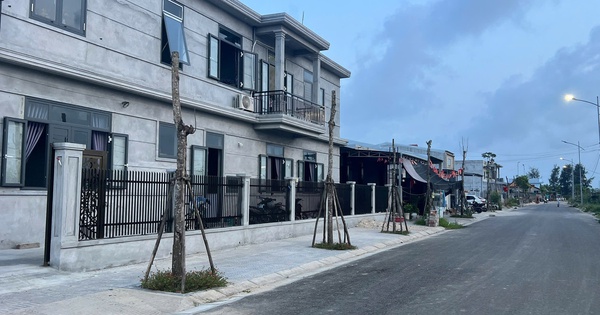Hàng loạt cây xanh "chết đứng" ở khu đô thị mới vùng biển