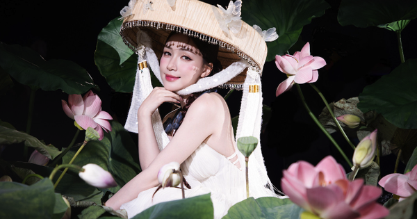 Đổi lời ca khúc "Người Việt mình thương nhau" của Cẩm Ly, Hòa Minzy