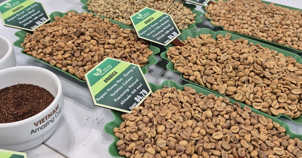 Giá cà phê hôm nay 28-4: Đồng loạt giảm, cà phê đặc sản gây bất ngờ