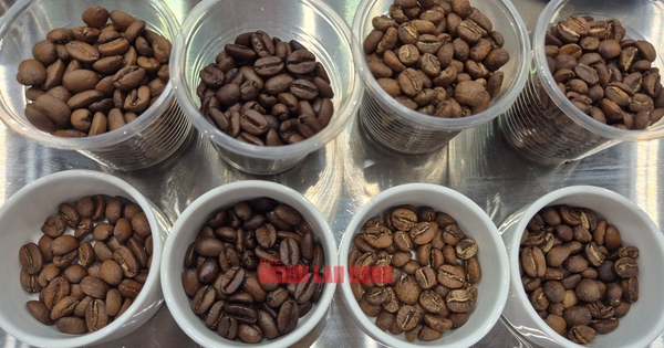Giá cà phê hôm nay 29-4: Bất ngờ tăng, ông lớn cà phê Trung Quốc khuấy động thị trường